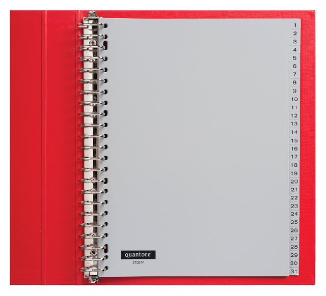 Tabbladen Quantore 23-gaats 1-31 genummerd grijs PP - Afbeelding 3