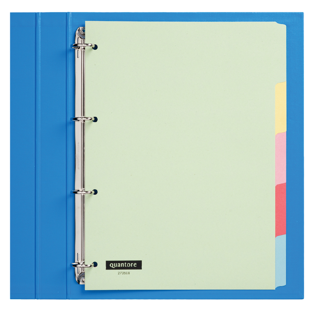 Tabbladen Quantore 4-gaats 5-delig assorti karton - Afbeelding 3