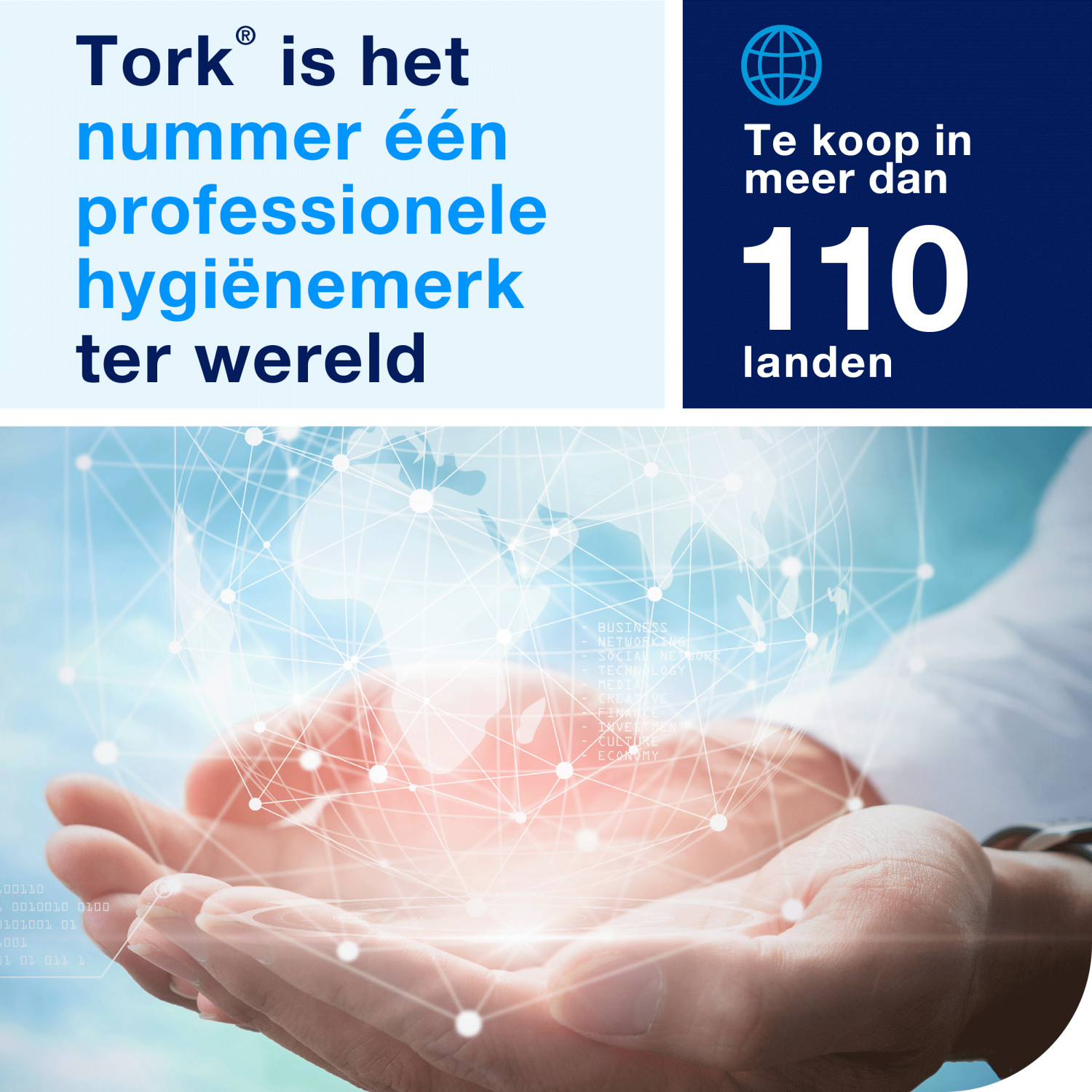 Tork Kledinghaak – RVS