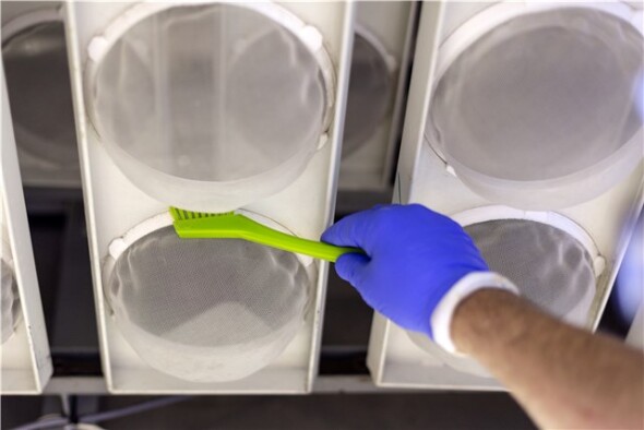 Vikan - Hygiene - Precisieborstel - Extra harde vezels - Oranje - Afbeelding 12