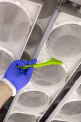 Vikan - Hygiene - Precisieborstel - Extra harde vezels - Oranje - Afbeelding 11